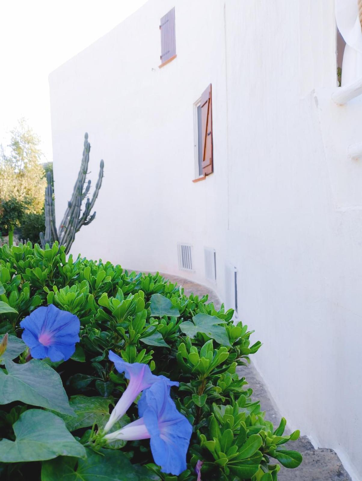 Villa Anna 300 M Dal Mare Torre delle Stelle Exterior foto