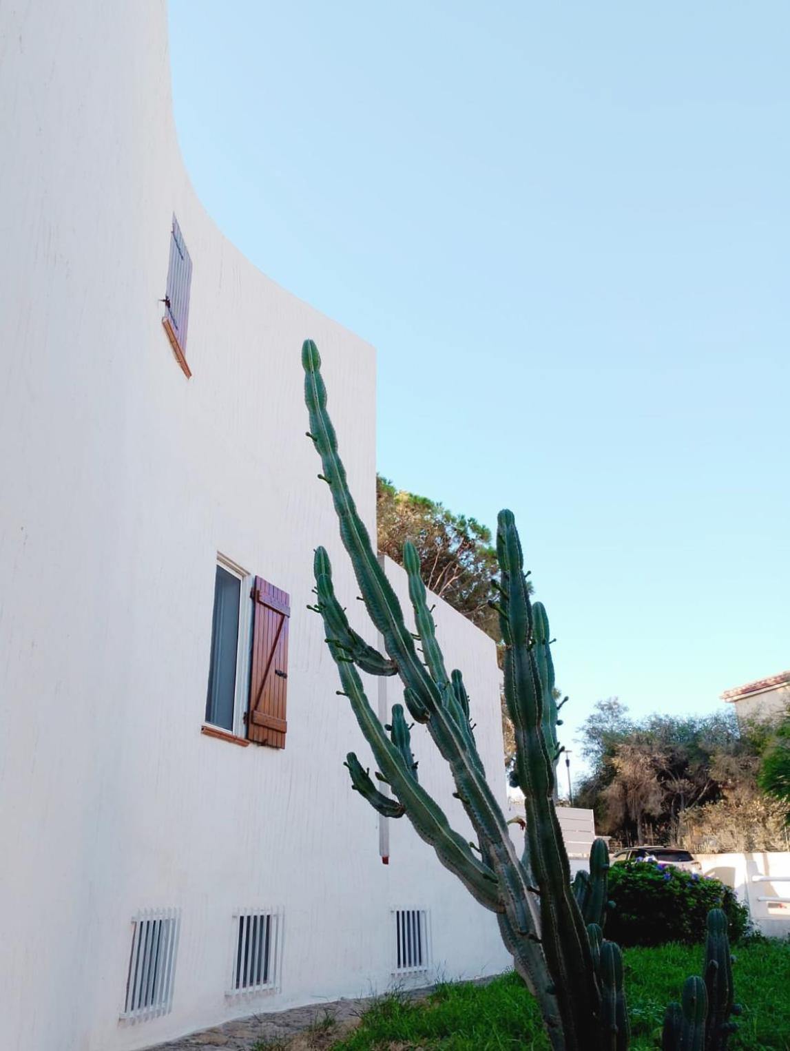 Villa Anna 300 M Dal Mare Torre delle Stelle Exterior foto